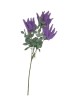    Haste de Lavanda 87230