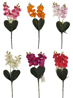 Haste de Orquidea 81452