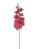 Orquídea  3D A9343