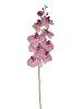 Orquídea  3D A9343