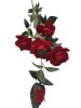 Haste de Rosa A9103