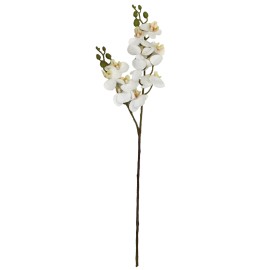 Haste de Orquídea 3D 0371-23