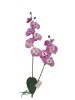 Haste de Orquídea 87069