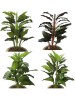 Plantas Sortidas 0371-7