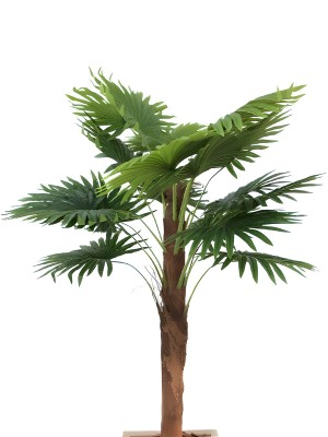 Árvore Palmeira Leque 9175-2