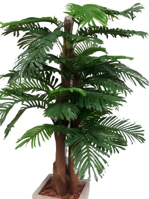 Árvore Palmeira 9175-5